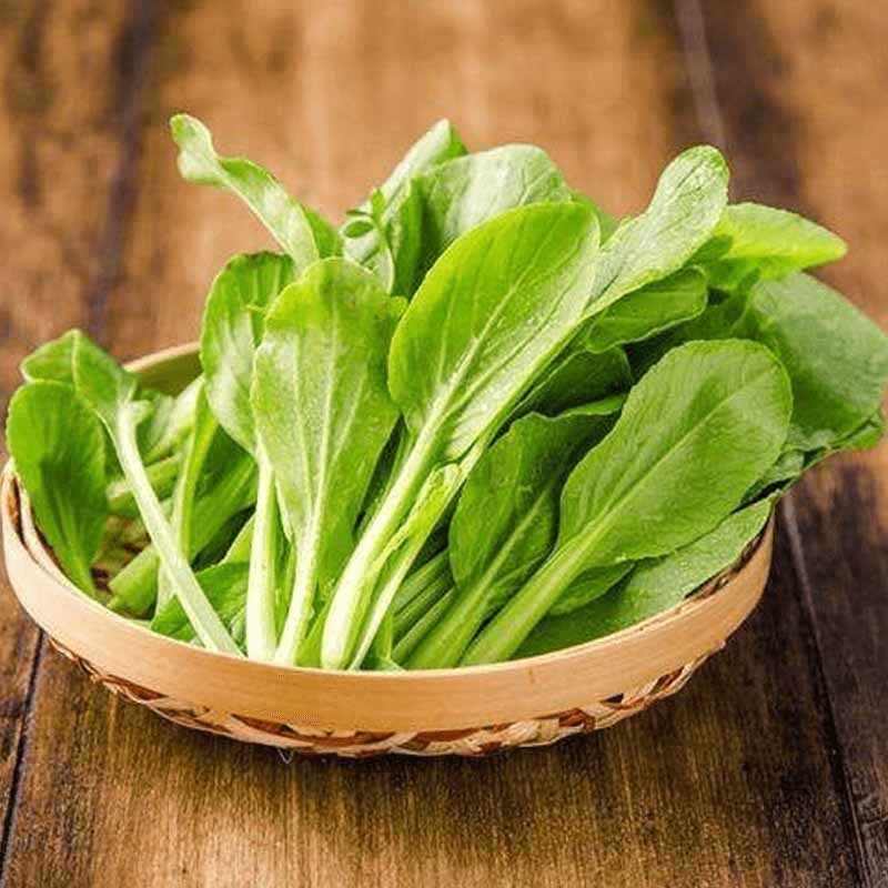 苏州食材批发